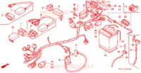 FAISCEAU DES FILS   BATTERIE pour Honda NSR 80 de 1996