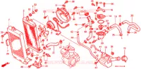 RADIATEUR pour Honda SHADOW VT 750 CLASSIC EDITION de 1999