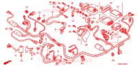FAISCEAU DES FILS pour Honda VTR 1000 FIRE STORM de 1997