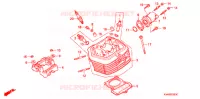 CULASSE pour Honda XR 100 de 2000