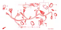 FAISCEAU DES FILS pour Honda XR 250 L de 1991