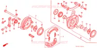 FLASQUE   MACHOIRES DE FREIN AVANT pour Honda SUPER CUB 50 BUSINESS de 1996