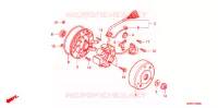 ALTERNATEUR pour Honda BENLY CD 50 SPECIAL de 1998