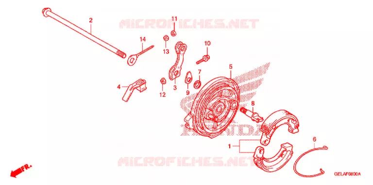 FLASQUE - MACHOIRES DE FREIN ARRIERE Honda MOTO 50 CRF 2006  CRF50F6