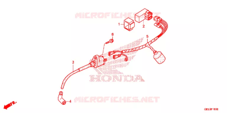FAISCEAU DES FILS Honda MOTO 50 CRF 2013  CRF50FD
