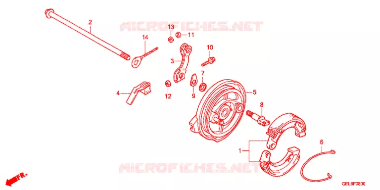 FLASQUE - MACHOIRES DE FREIN ARRIERE Honda MOTO 50 CRF 2019  CRF50FE