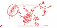 ALTERNATEUR pour Honda MAGNA 50 de 2004