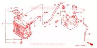 RADIATEUR pour Honda RUCKUS 50 BLACK de 2005