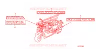 AUTOCOLLANTS pour Honda RUCKUS 50 BLACK de 2008