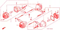 CLIGNOTANT pour Honda NS 50 F de 1990