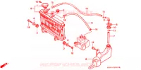 RADIATEUR pour Honda NS 50 F de 1990