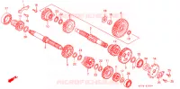 BOITE DE VITESSES ('88) pour Honda NX 125 de 1990
