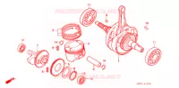 VILEBREQUIN pour Honda NX 250 de 1988