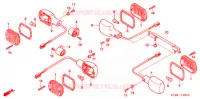 CLIGNOTANT pour Honda BIG RUCKUS 250 de 2005