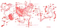 RADIATEUR pour Honda SH 150 de 2010