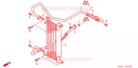 RADIATEUR D'HUILE pour Honda FOURTRAX 500 RUBICON GPS de 2005