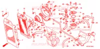 RADIATEUR pour Honda SHADOW VT 750 AERO Hamatsu factory de 2006