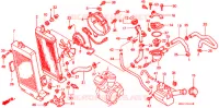 RADIATEUR pour Honda SHADOW VT 750 DELUXE de 1999