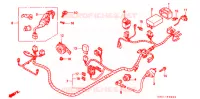 FAISCEAU DES FILS pour Honda WW 50 TOPIC FLEX de 1995