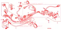 FAISCEAU DES FILS pour Honda XR 650 L de 2014