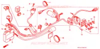 FAISCEAU DES FILS pour Honda XR 650 L de 1999
