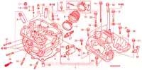CULASSE pour Honda XR 650 de 2006