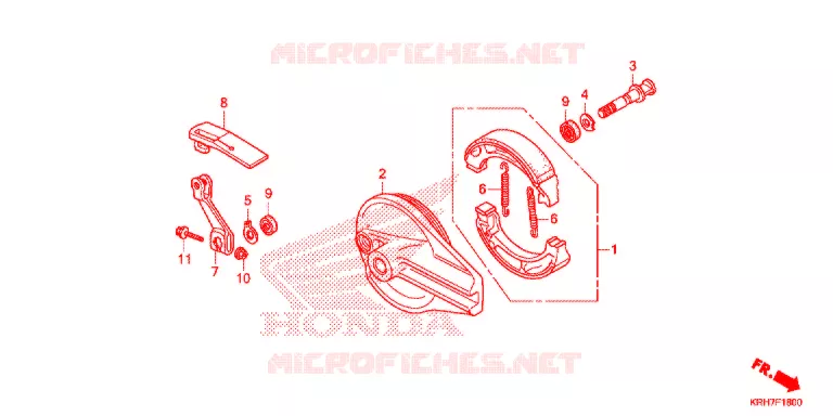 FLASQUE - MACHOIRES DE FREIN ARRIERE Honda MOTO 150 XR 2021  XR150LEKJ