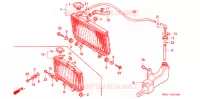 RADIATEUR pour Honda NS 50 F de 1987
