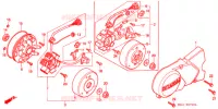 ALTERNATEUR pour Honda PRESS CUB 50 DELUXE de 1996