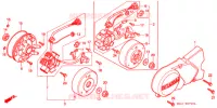 ALTERNATEUR pour Honda PRESS CUB 50 STANDARD de 1995