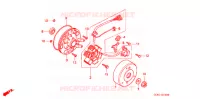 ALTERNATEUR (C50L) pour Honda LITTLE CUB 50 de 2001