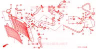 RADIATEUR pour Honda NSR 250 SP 9 de 1990