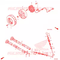 ALTERNATEUR pour Honda NH 100 LEAD WHITE de 1998