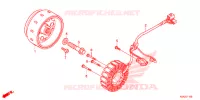 ALTERNATEUR pour Honda CB 300 R ABS de 2020