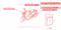 AUTOCOLLANTS pour Honda ZOOMER 50 DELUXE de 2008