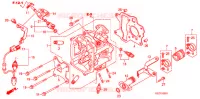 CULASSE (NPS508) pour Honda ZOOMER 50 DELUXE de 2008