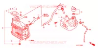 RADIATEUR pour Honda ZOOMER 50 DELUXE de 2008