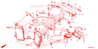FLEXIBLE DE RADIATEUR/TUYAU D'EAU pour Honda AFRICA TWIN 1000 ADVENTURE DCT de 2019