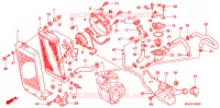 RADIATEUR pour Honda SHADOW 400 CLASSIC de 2008