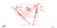 ARBRE A CAMES   SOUPAPE pour Honda ACE 110 KICK START de 2023