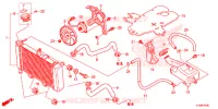 RADIATEUR pour Honda CBR 300 R de 2019