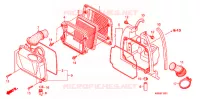 FILTRE A AIR (2) pour Honda BIZ 125 SOMENTE PEDAL DE PARTIDA de 2009