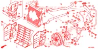 RADIATEUR pour Honda FOURTRAX 520 FOREMAN RUBICON 4X4 AT DCT EPS DELUXE de 2020
